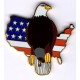 Eagle with USA Flag